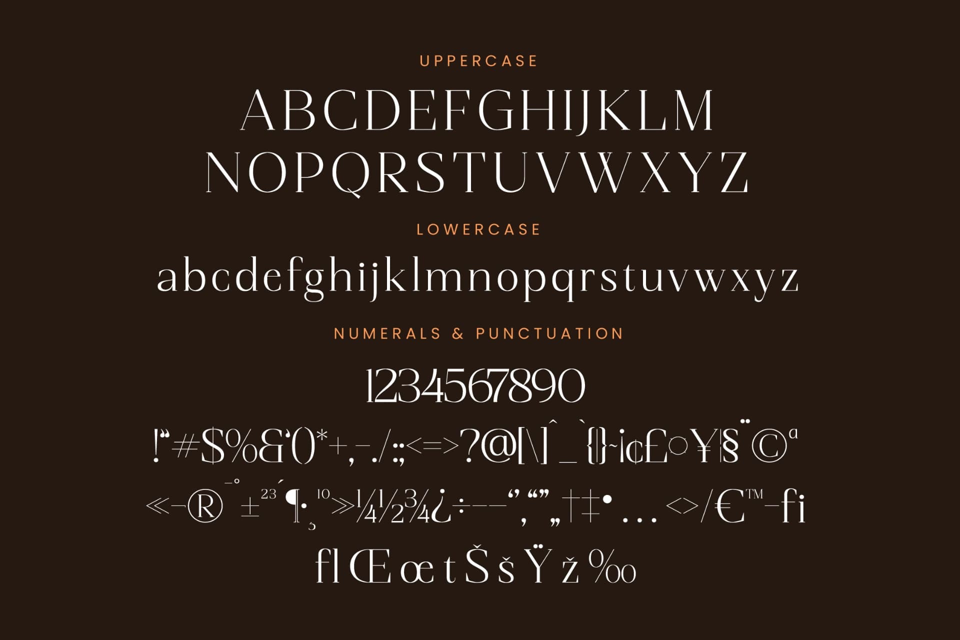 Preview 13 for Magnetic Azuhster – Minimalist Serif Font