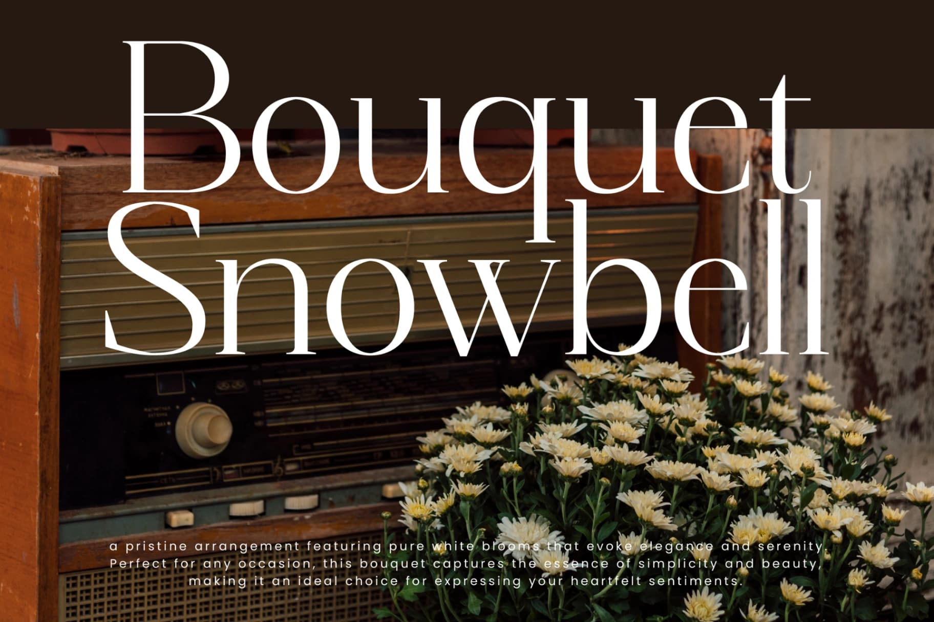 Preview 6 for Magnetic Azuhster – Minimalist Serif Font