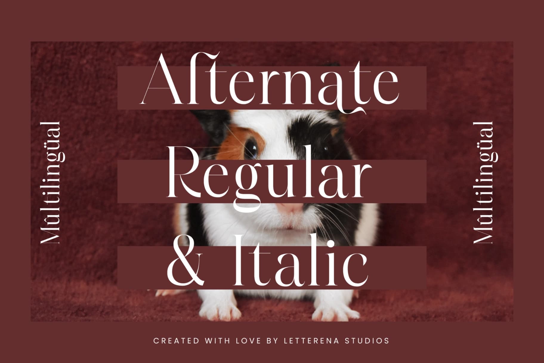 Preview 12 for Hamster – Modern Serif Font