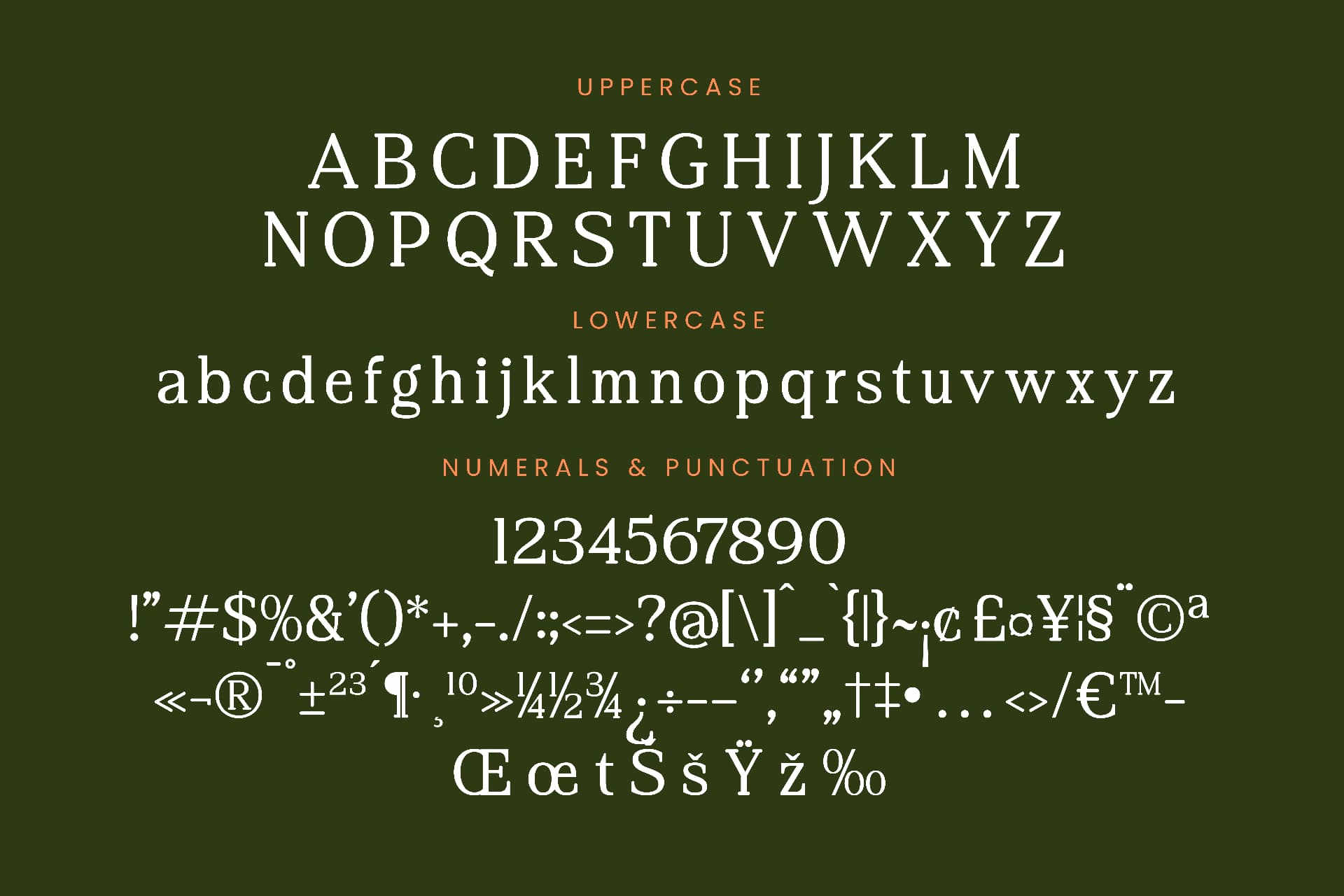 Preview 13 for Regime Misfiles - Serif Oldstyle Font