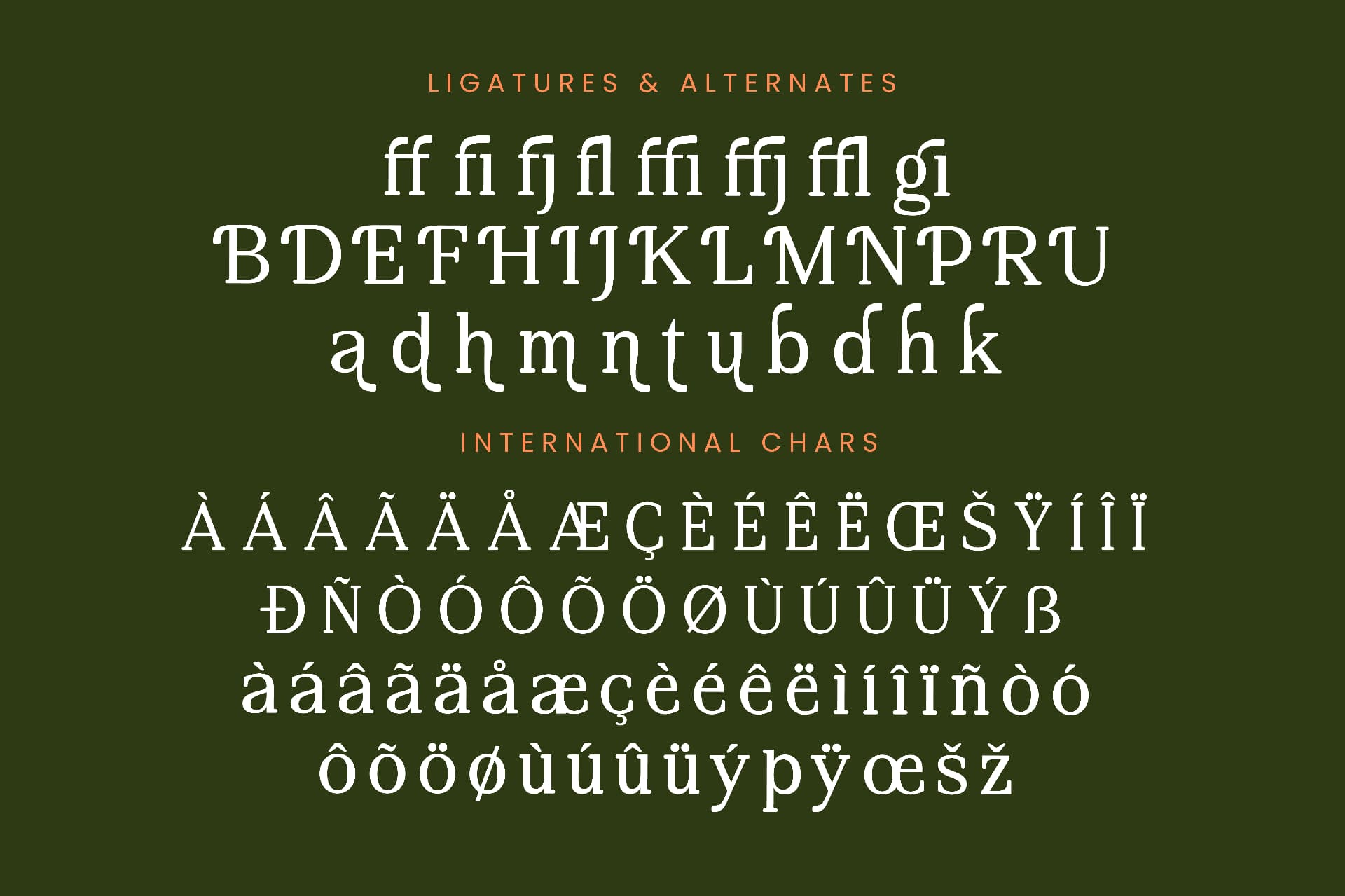 Preview 14 for Regime Misfiles - Serif Oldstyle Font
