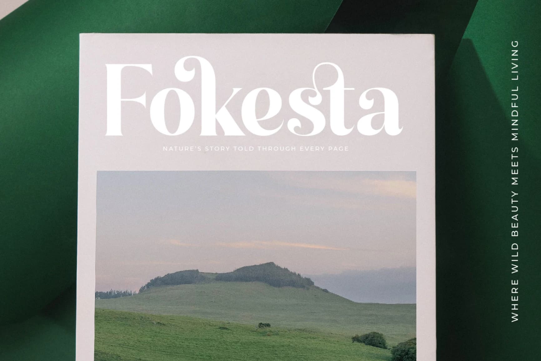 Preview 14 for Kindles Swifter - Modern Serif Font