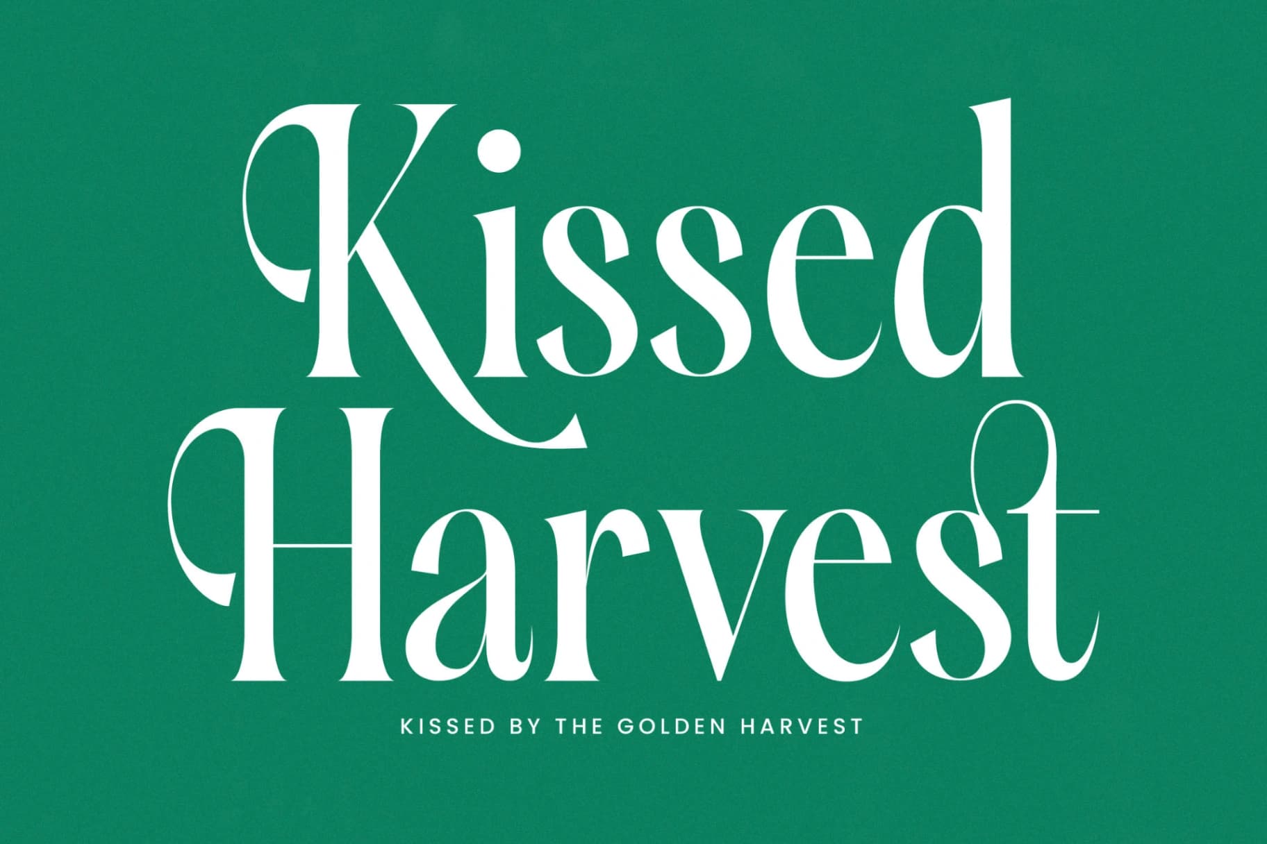 Preview 8 for Silent Gingers - Modern Serif Display