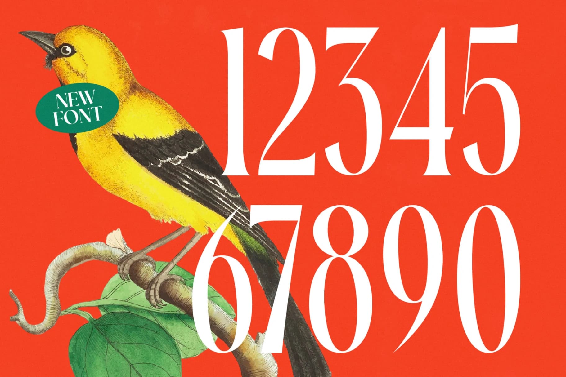 Preview 9 for Silent Gingers - Modern Serif Display