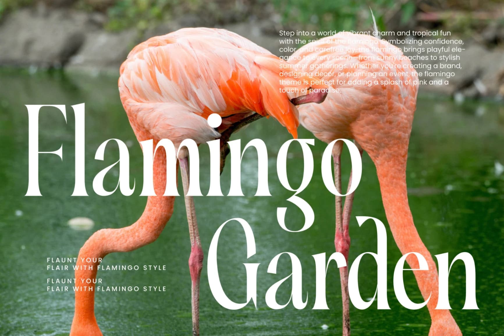 Preview 5 for Silent Gingers - Modern Serif Display