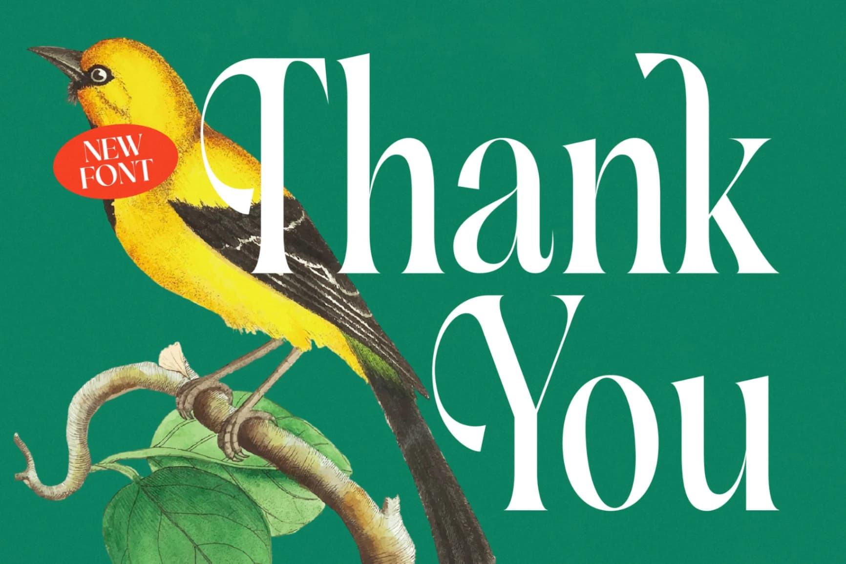Preview 20 for Silent Gingers - Modern Serif Display