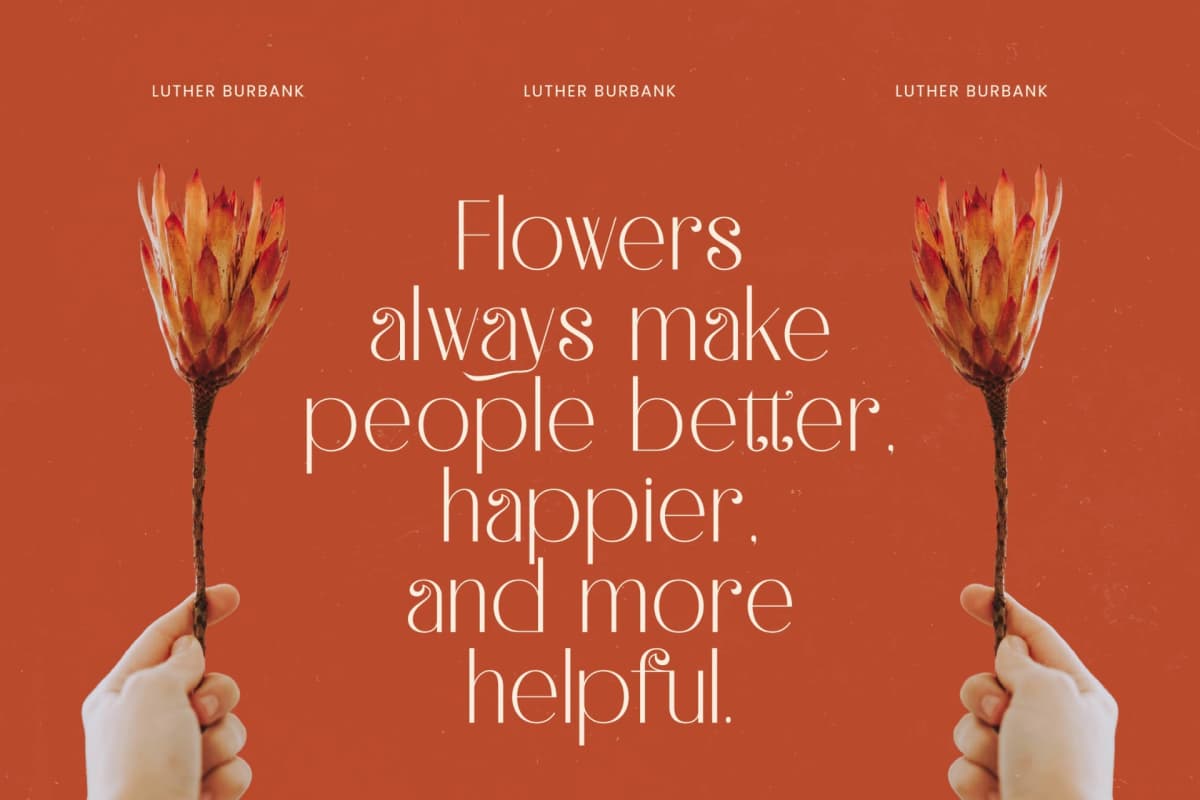 Hustle Batik - Serif Alternate Display font preview 9