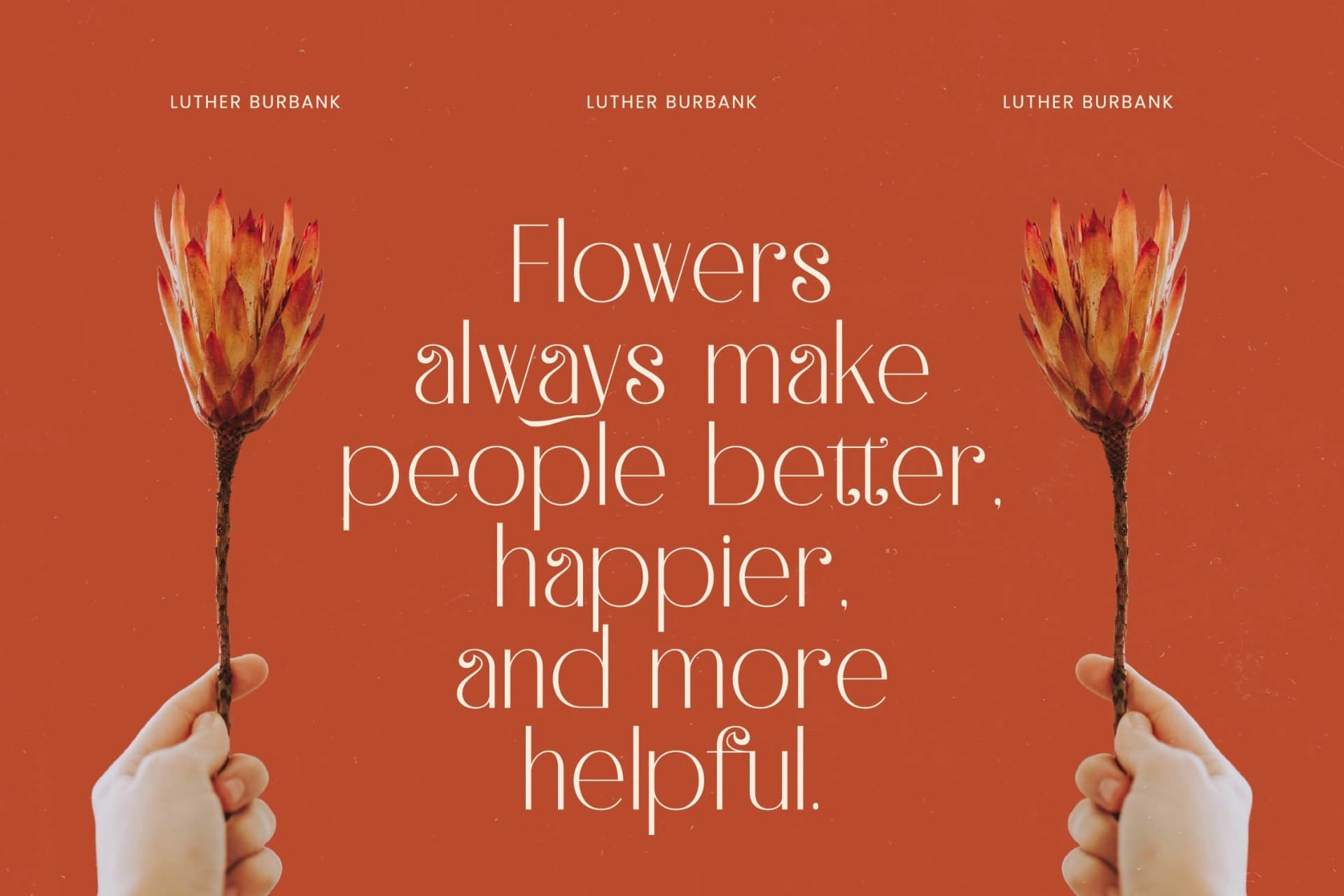 Preview 9 for Hustle Batik - Serif Alternate Display