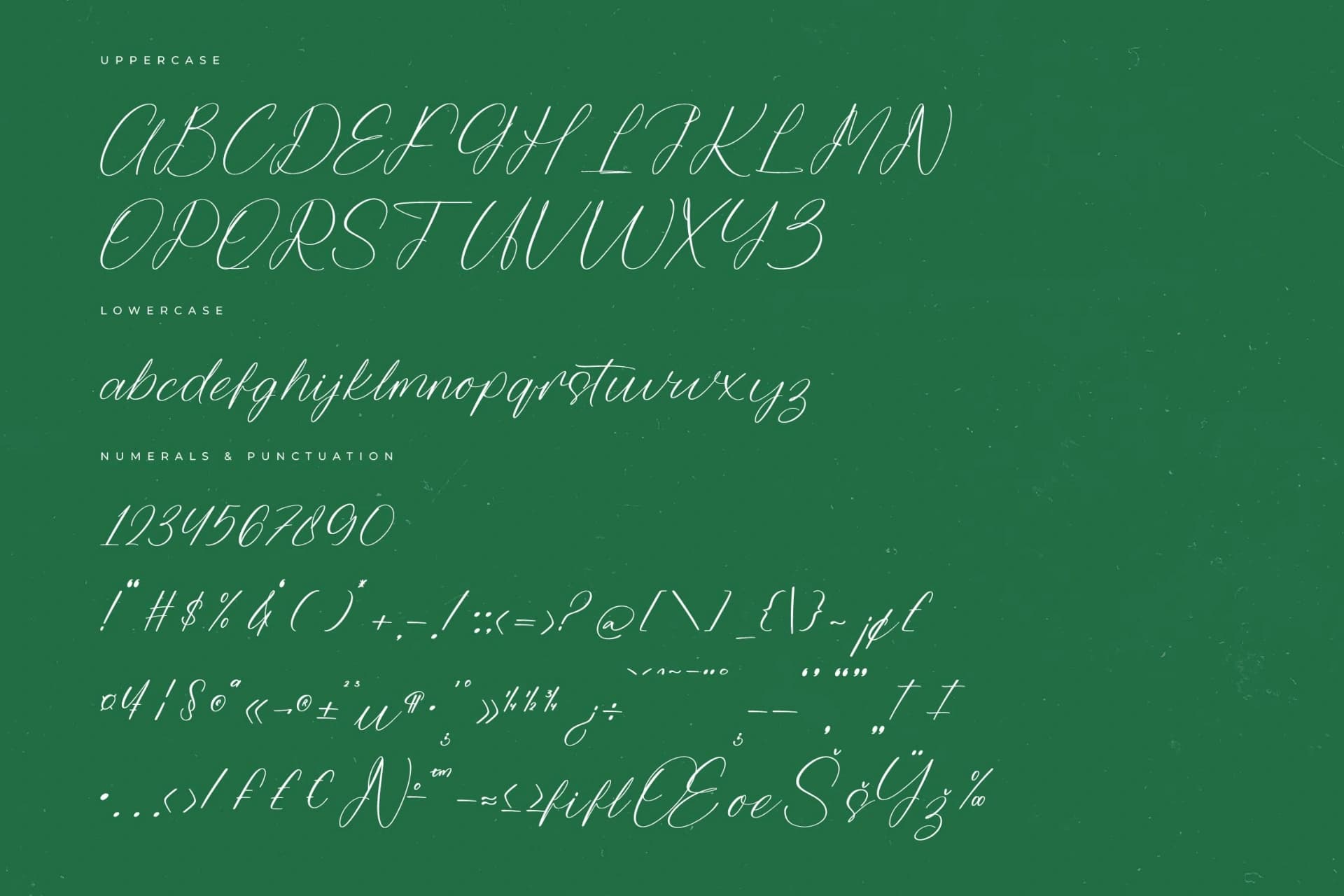 Preview 13 for Trekfox Hunter – Modern Signature Font