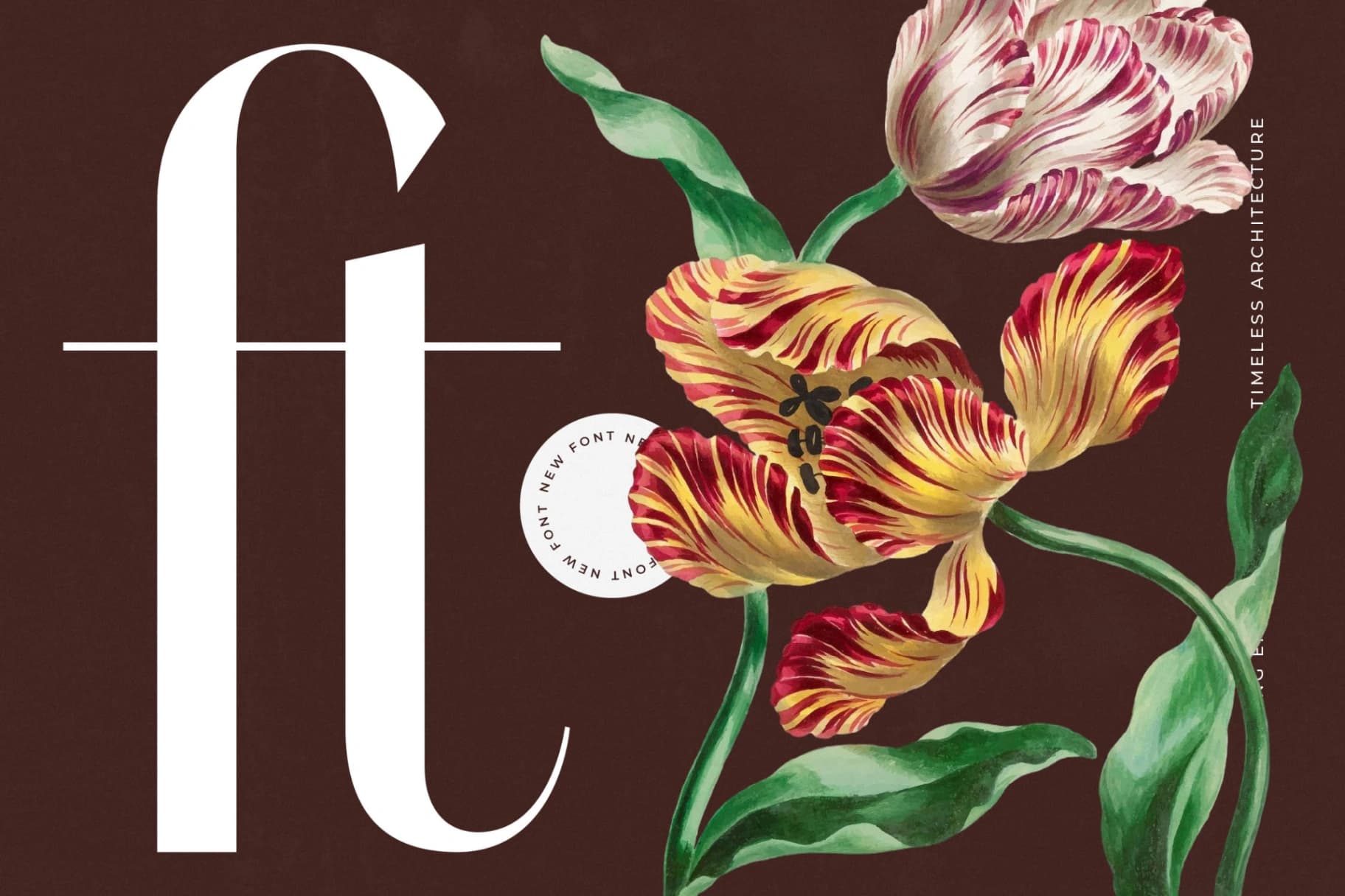 Preview 7 for Stogne Gesture - Modern Sans Serif Font