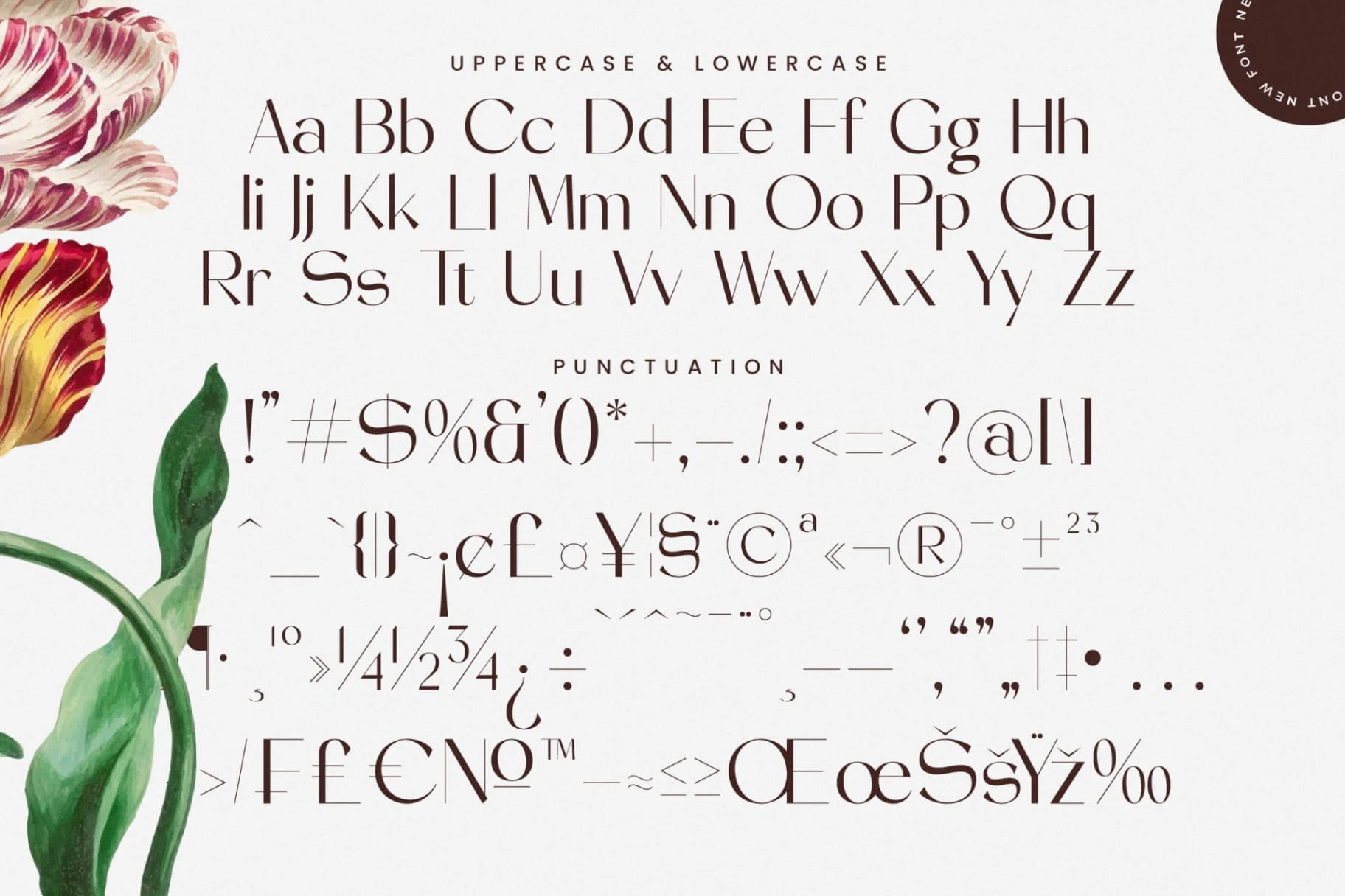 Preview 19 for Stogne Gesture - Modern Sans Serif Font