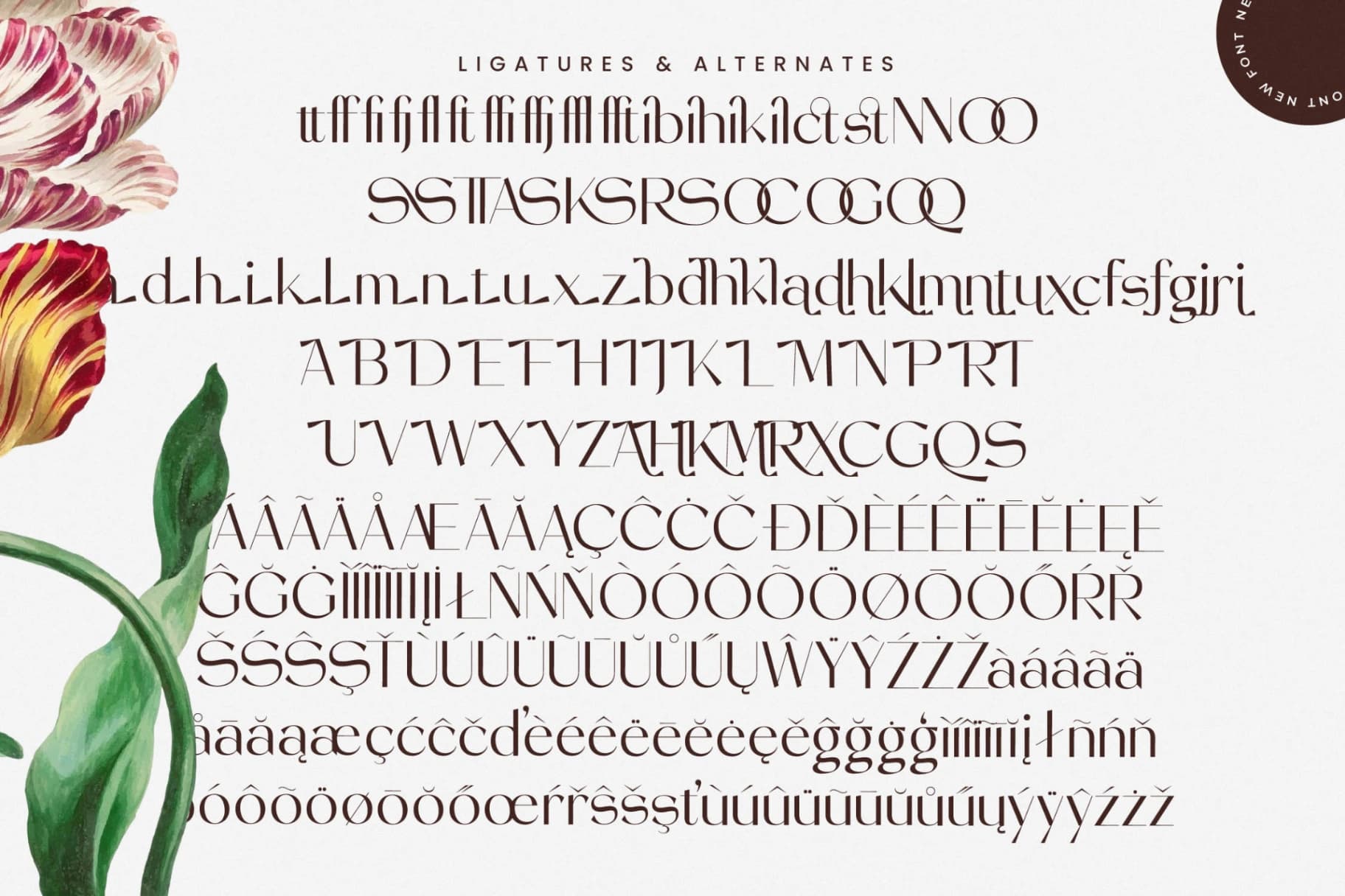 Preview 18 for Stogne Gesture - Modern Sans Serif Font