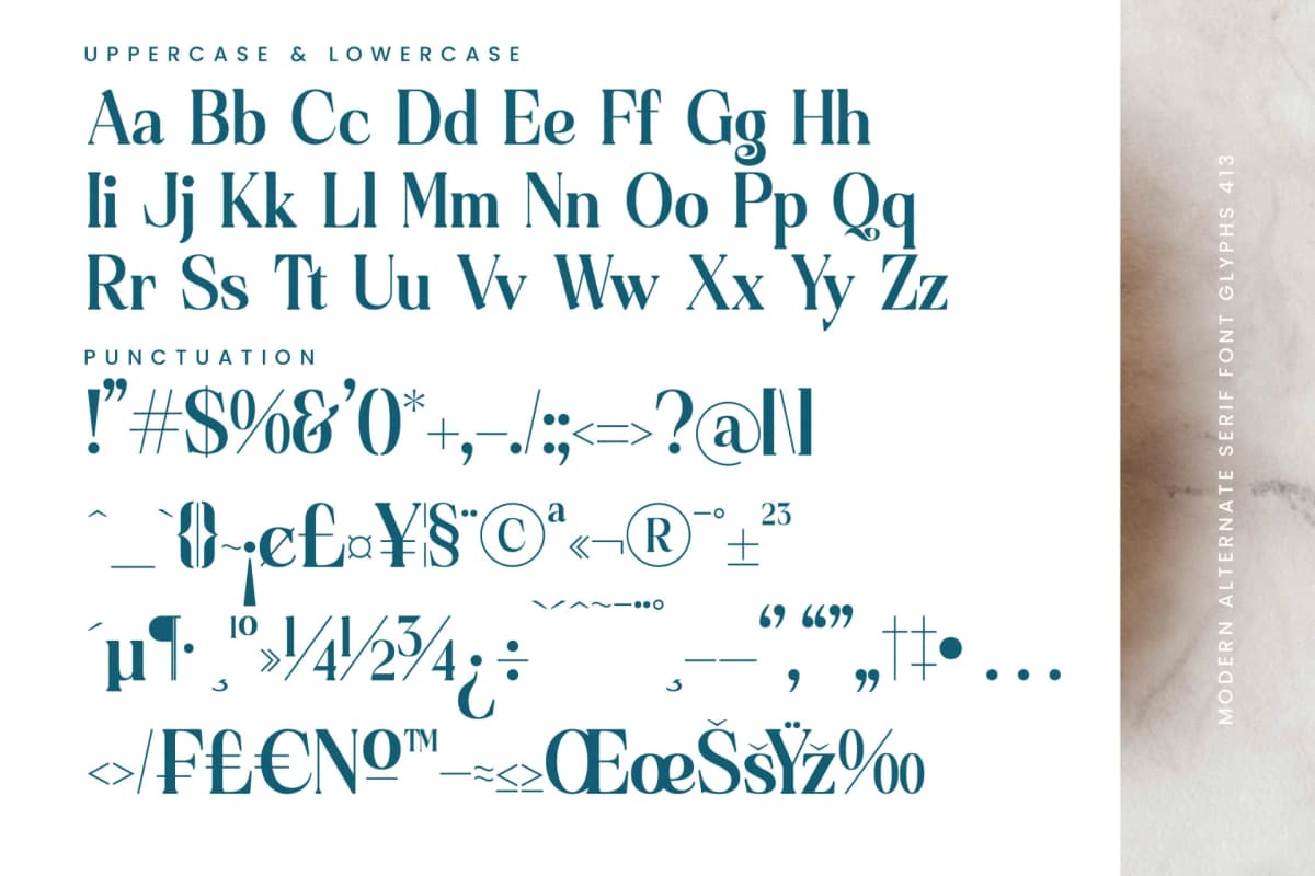 Quarky Kitchen - Modern Alternate Serif Font font preview 19