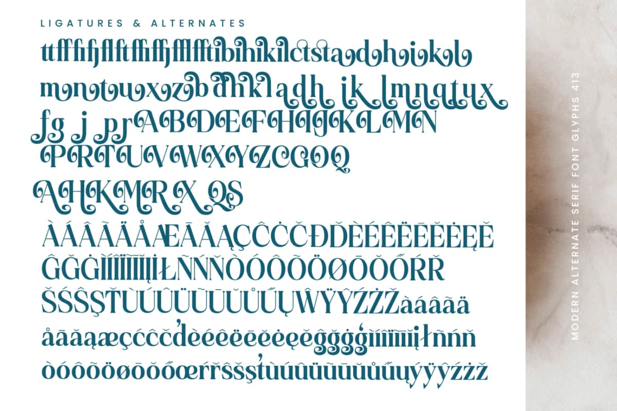 Quarky Kitchen - Modern Alternate Serif Font font preview 18