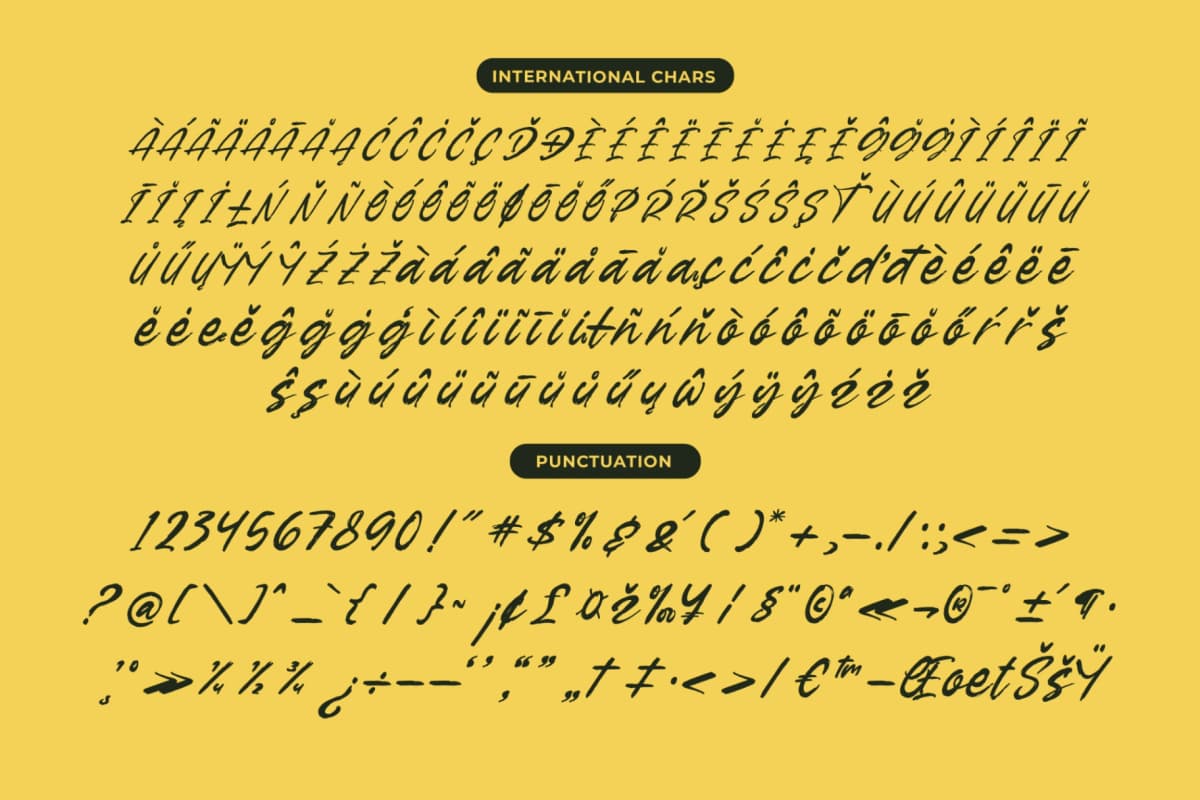 Preview 13 for Garden Solland – Bold Handwritten Font