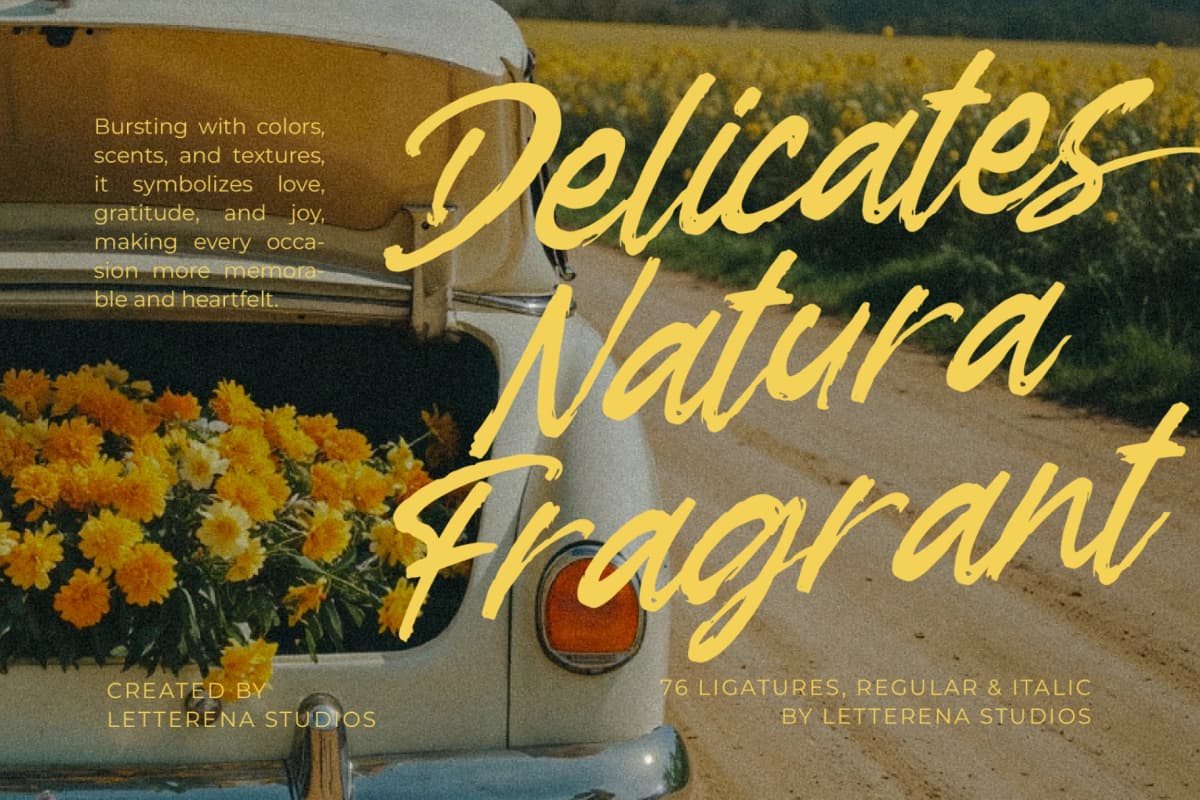 Preview 11 for Garden Solland – Bold Handwritten Font