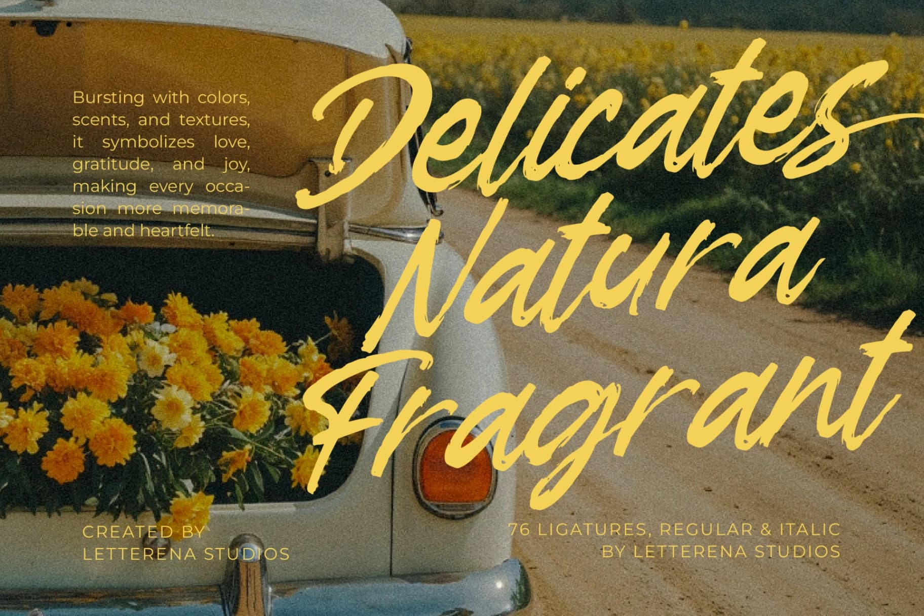 Preview 11 for Garden Solland – Bold Handwritten Font