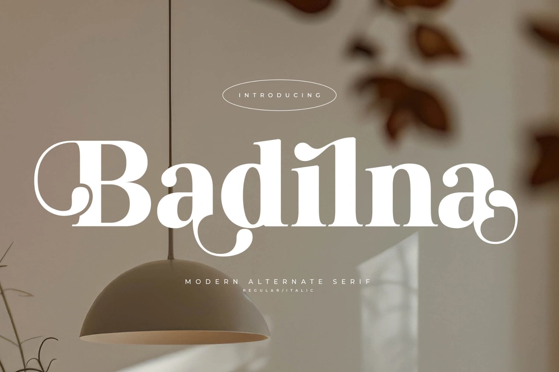 Preview of Badilna – Modern Alternate Serif font