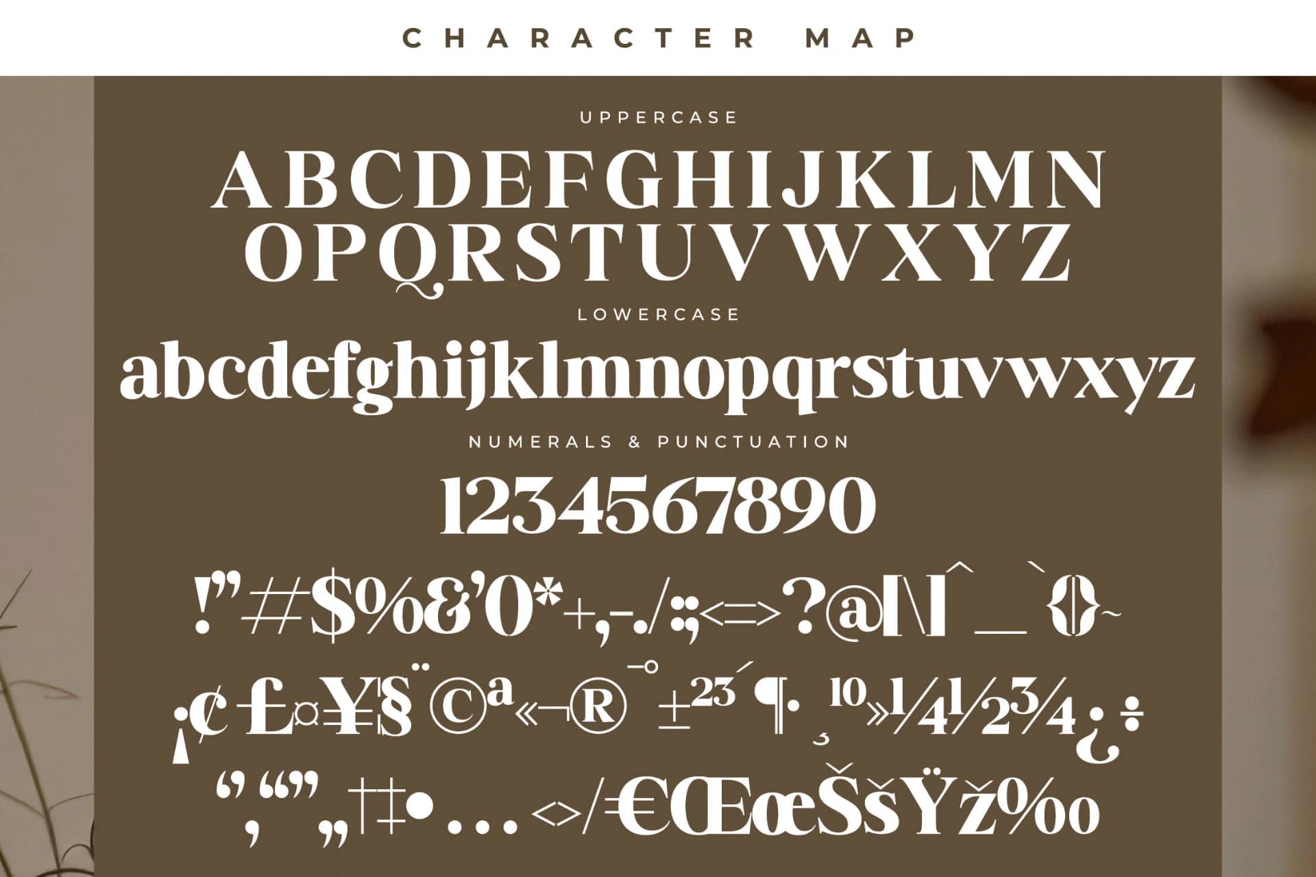 Preview 13 for Badilna – Modern Alternate Serif