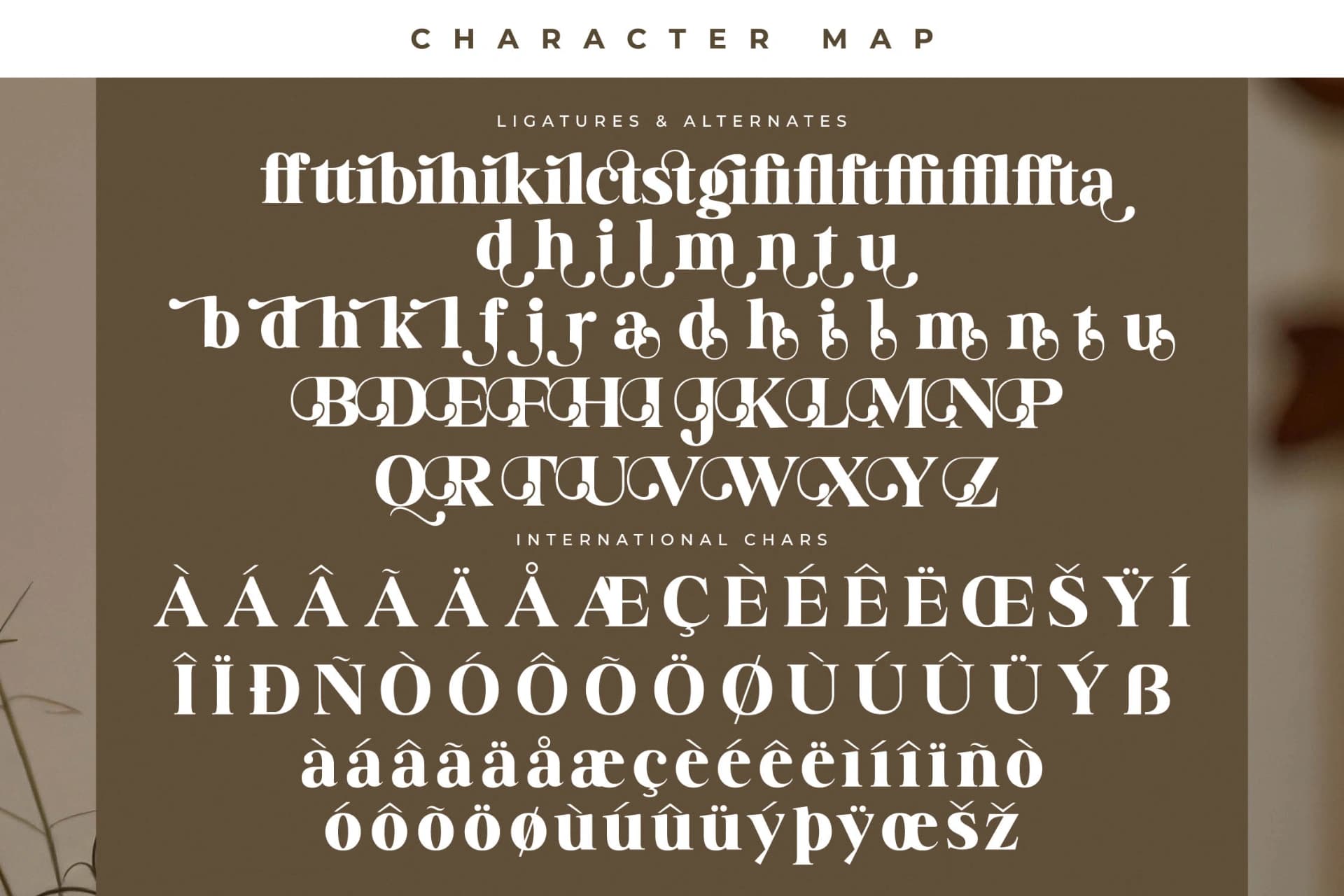 Preview 14 for Badilna – Modern Alternate Serif