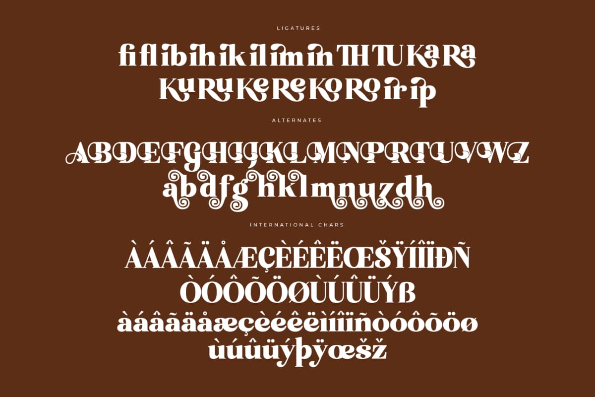 Preview 14 for Enigma Mistik – Modern Retro Serif Font