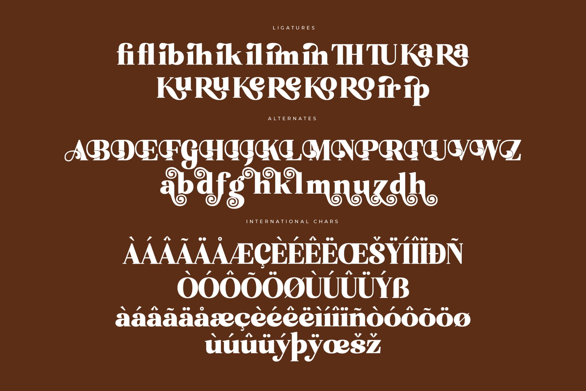 Preview 14 for Enigma Mistik – Modern Retro Serif Font