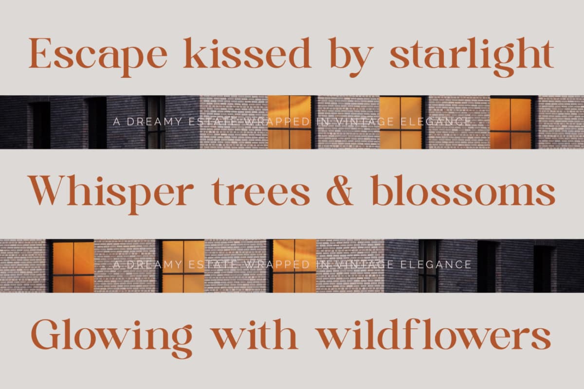 Quika Calletto - Modern Serif Font font preview 4