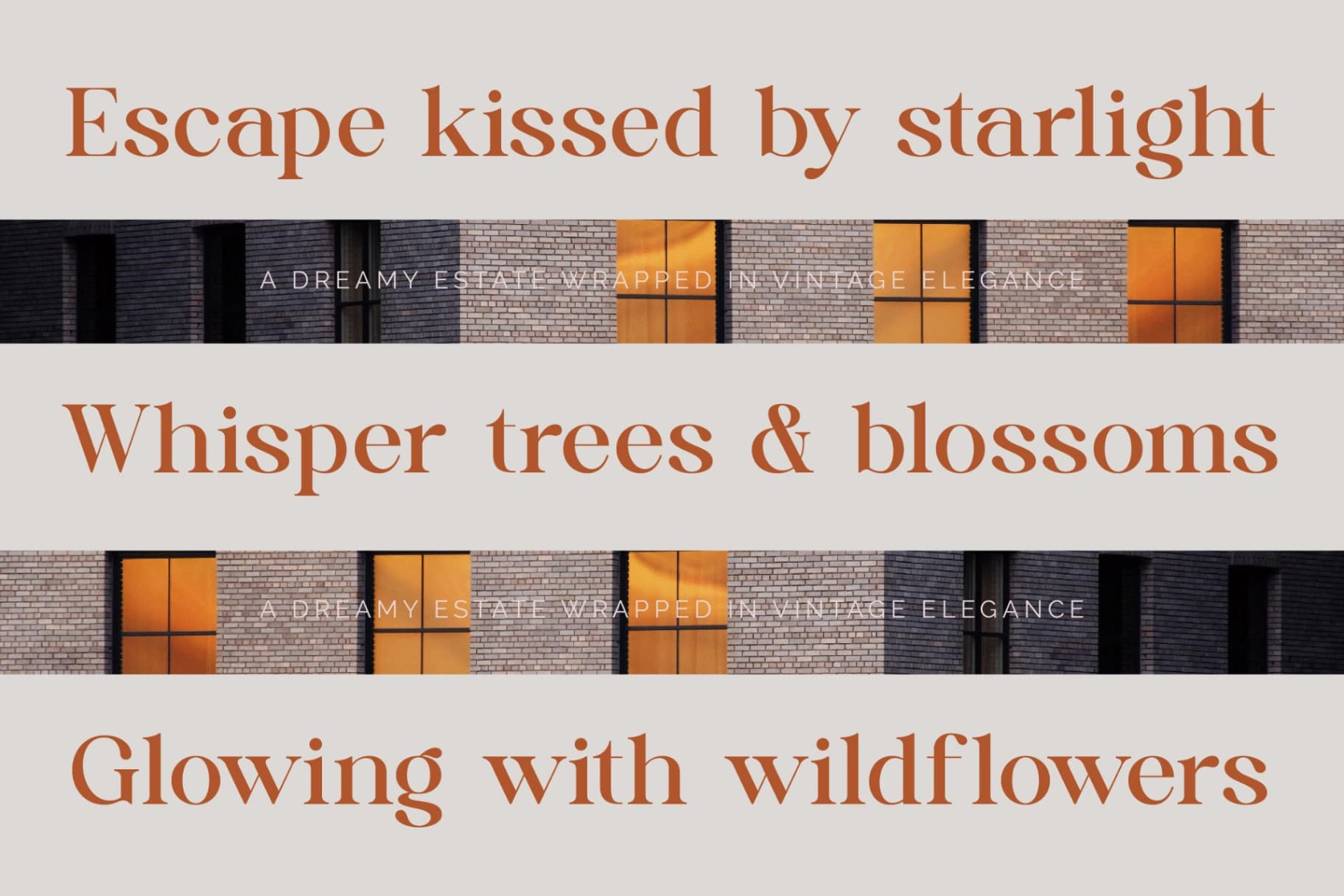 Preview 4 for Quika Calletto - Modern Serif Font