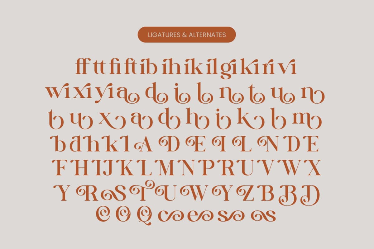 Quika Calletto - Modern Serif Font font preview 18