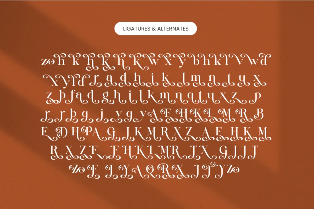 Quika Calletto - Modern Serif Font font preview 17