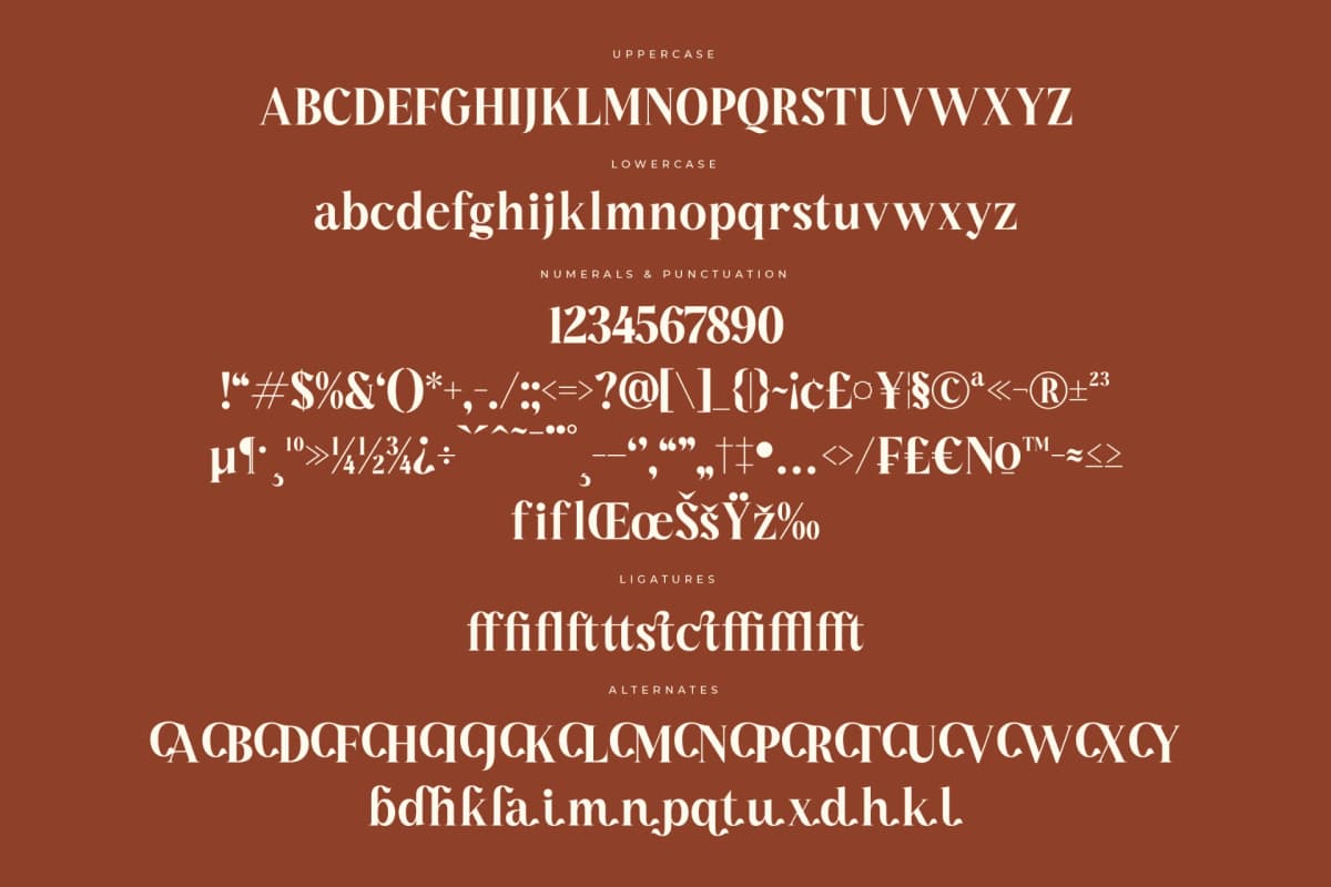 Mocha Dahlia – Modern Serif Font font preview 13