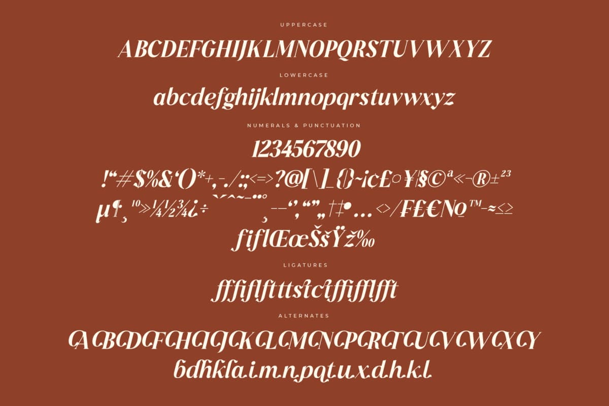 Mocha Dahlia – Modern Serif Font font preview 14