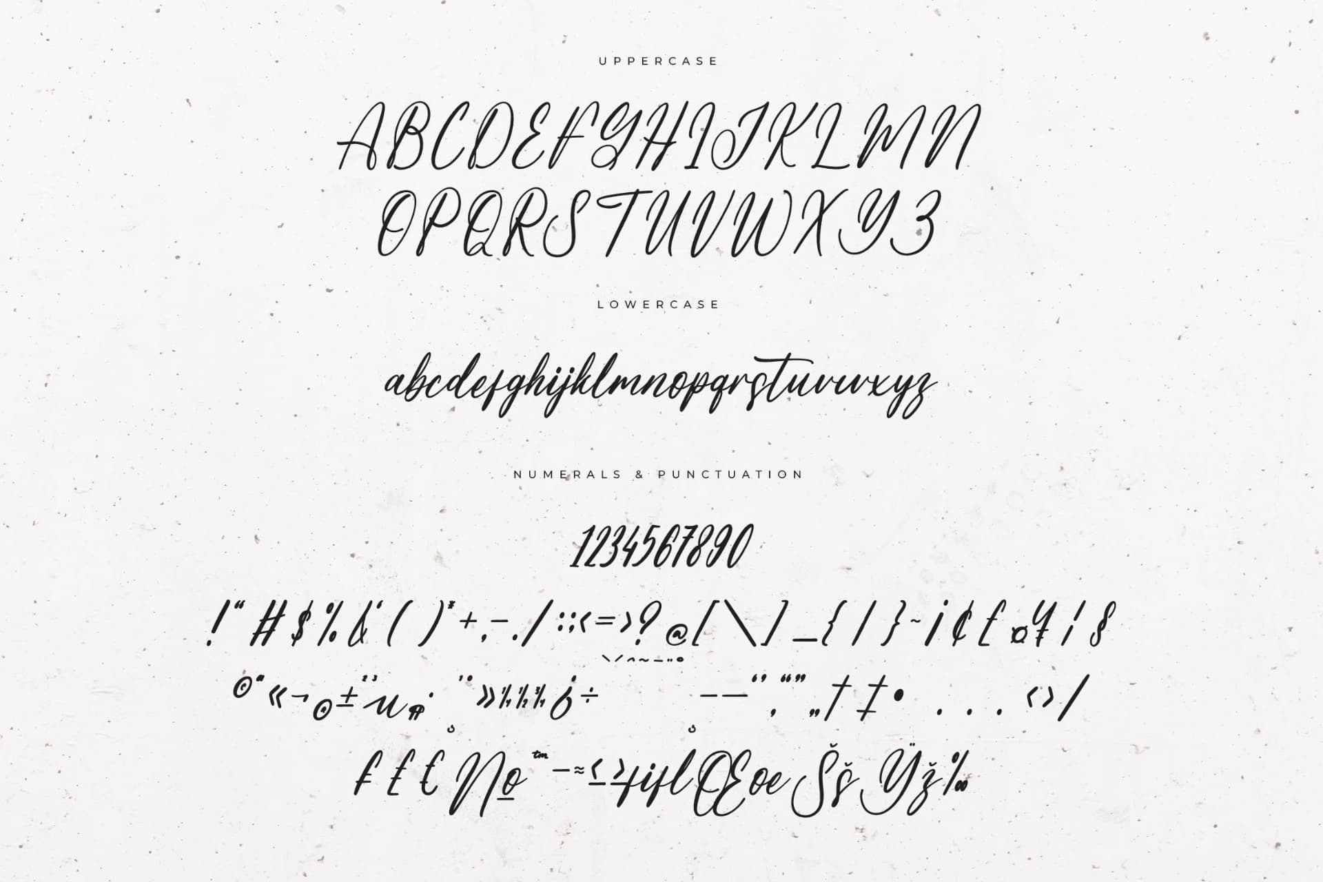 Preview 13 for Michael Fosteria – Modern Handwritten Freestyle