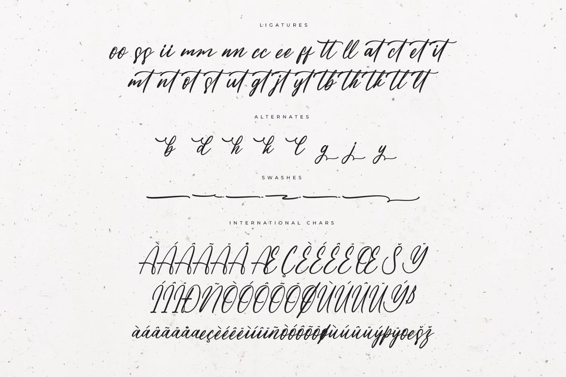 Preview 14 for Michael Fosteria – Modern Handwritten Freestyle