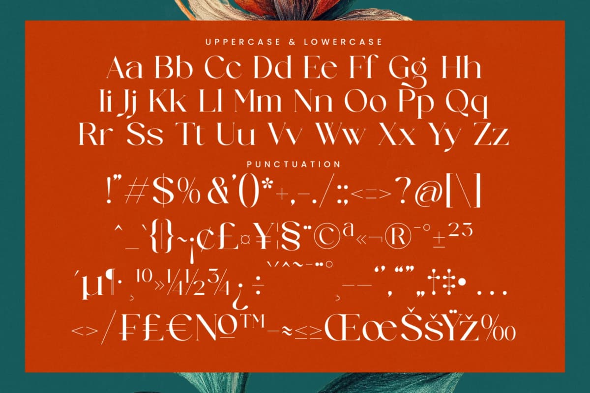 Strikes Against - Modern Serif Font font preview 19