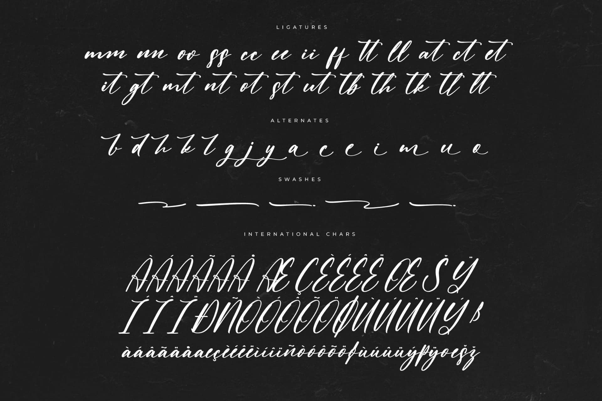 Preview 14 for Claudia Martin – Modern Handwritten Freestyle