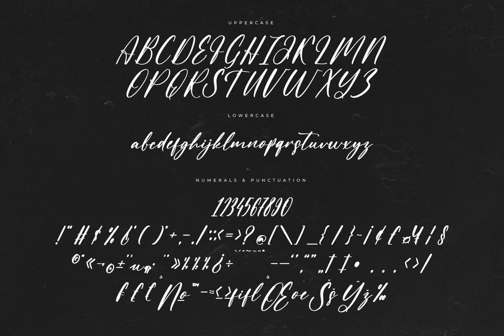 Preview 13 for Claudia Martin – Modern Handwritten Freestyle