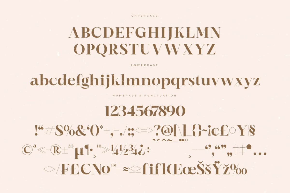 Preview 13 for Elegan Blend – Modern Serif Font