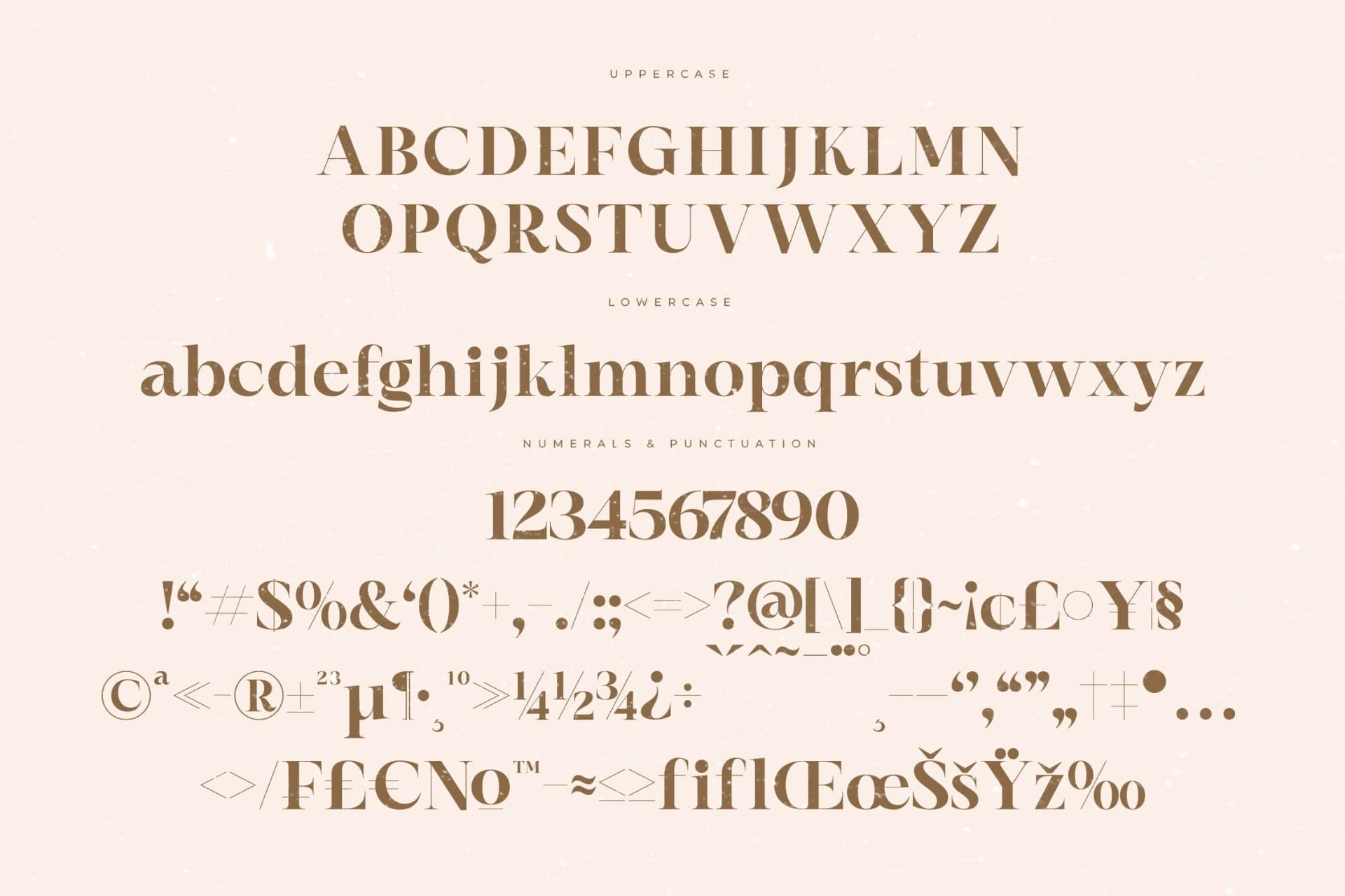 Preview 13 for Elegan Blend – Modern Serif Font