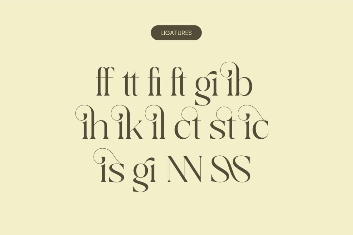 Qaisar - Elegant Serif Font font preview 18