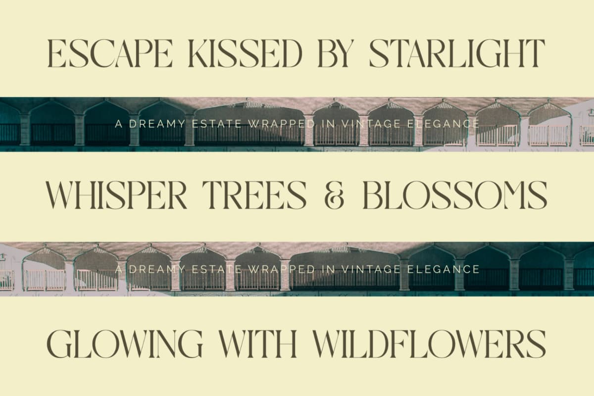 Qaisar - Elegant Serif Font font preview 16