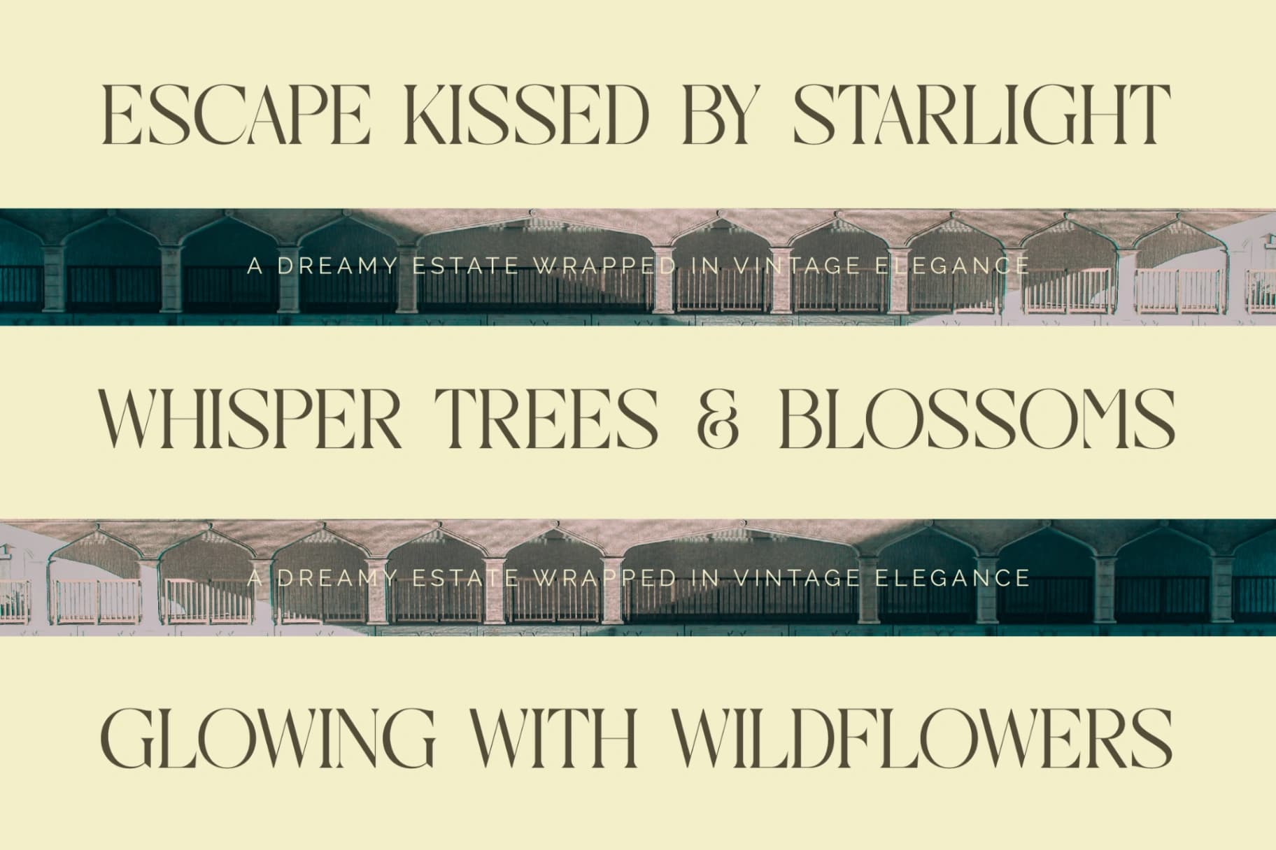 Preview 16 for Qaisar - Elegant Serif Font