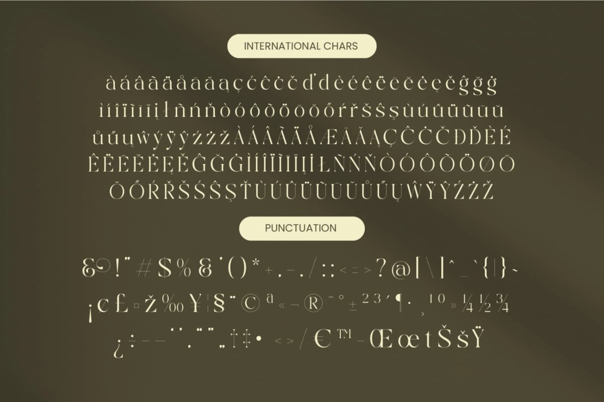 Qaisar - Elegant Serif Font font preview 19