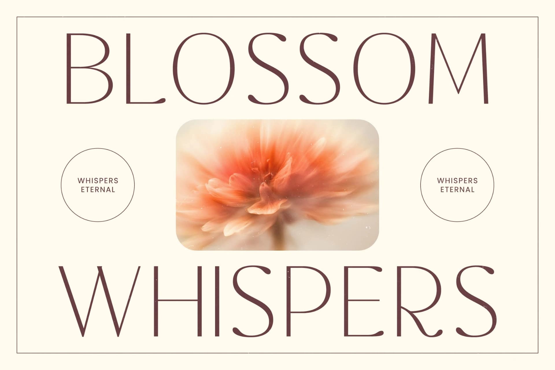 Preview 3 for Rafbela Egitha - Elegant Sans Serif Display