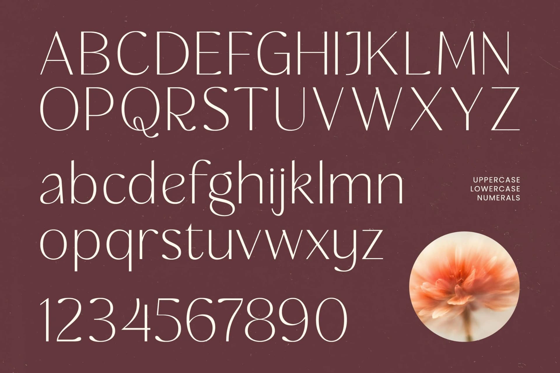 Preview 17 for Rafbela Egitha - Elegant Sans Serif Display