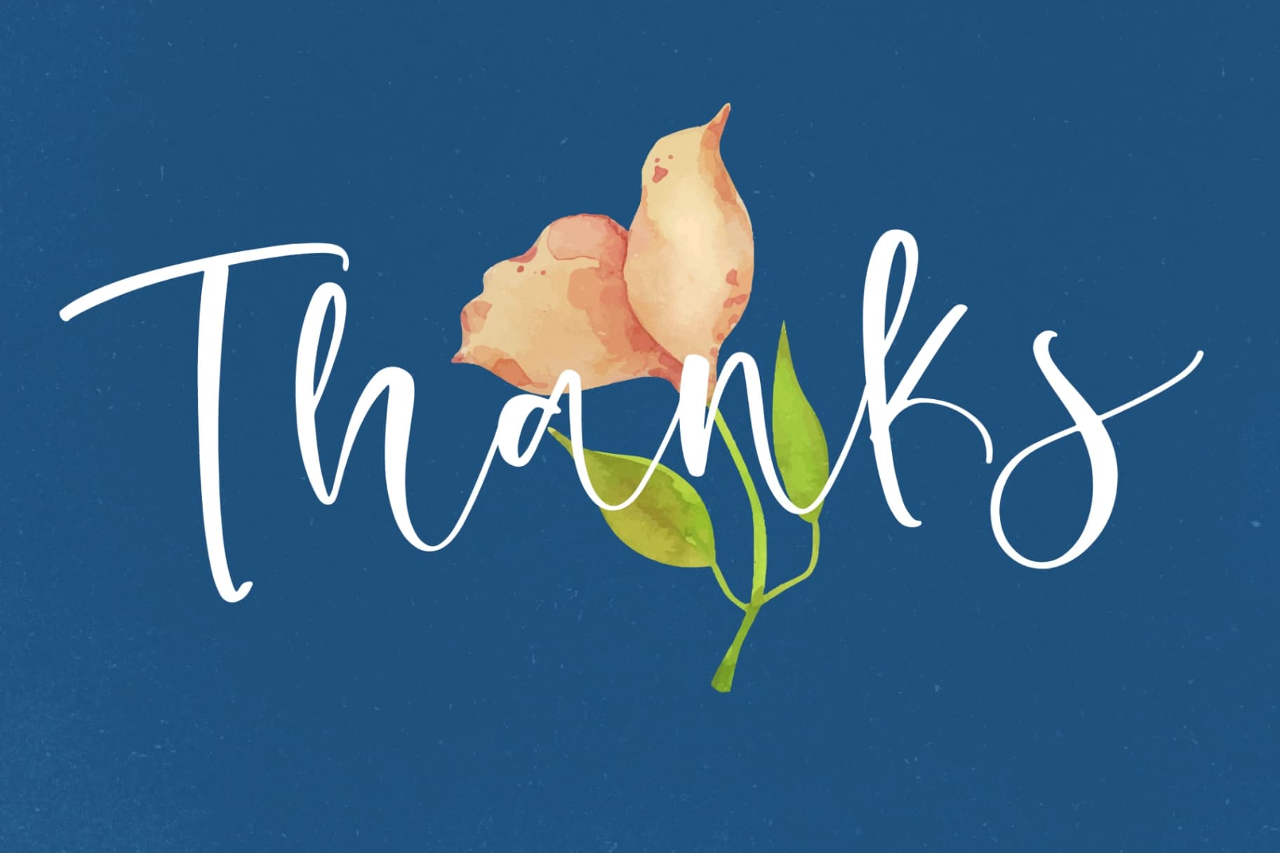 Preview 15 for Blossom Daisy – Beautiful Handwritten Script