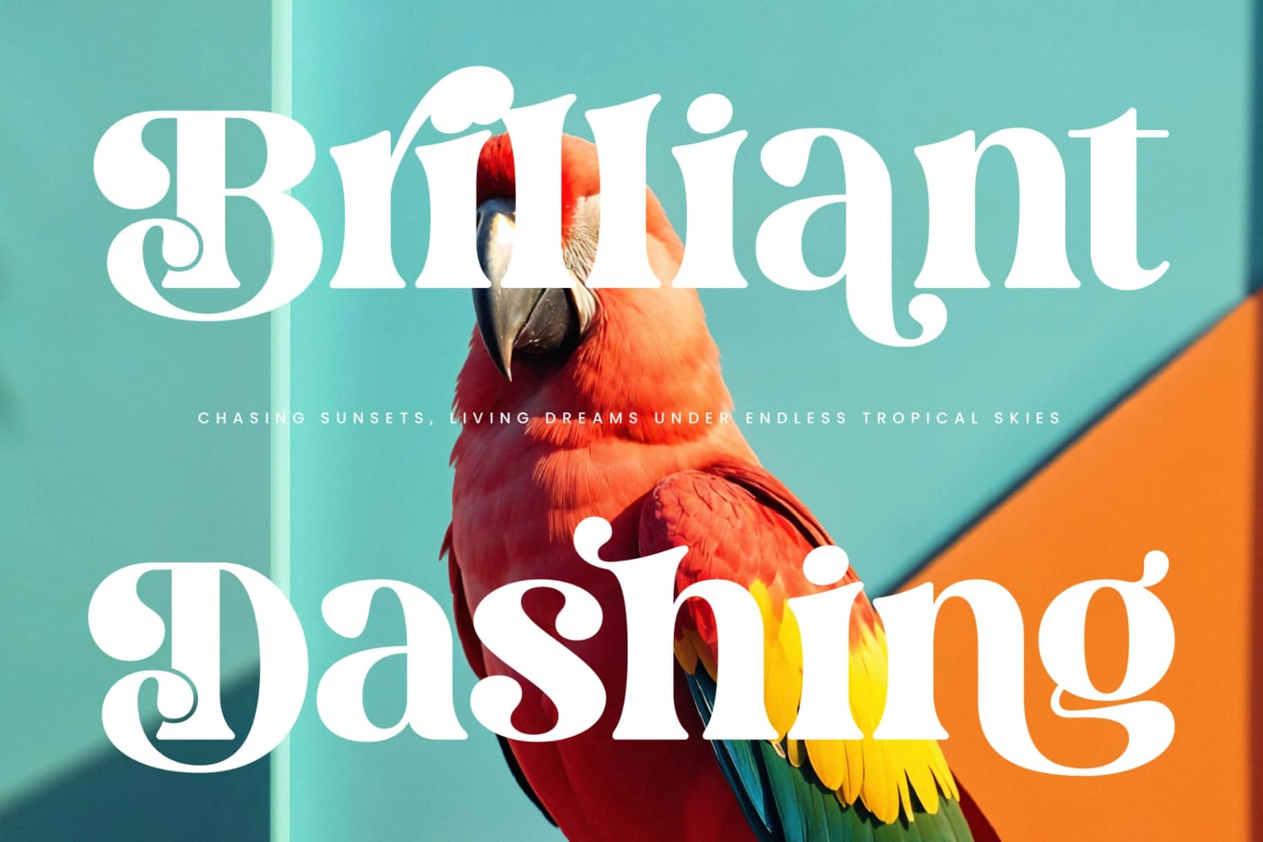 Preview 17 for Dream Silvers - Modern Alternate Serif Font
