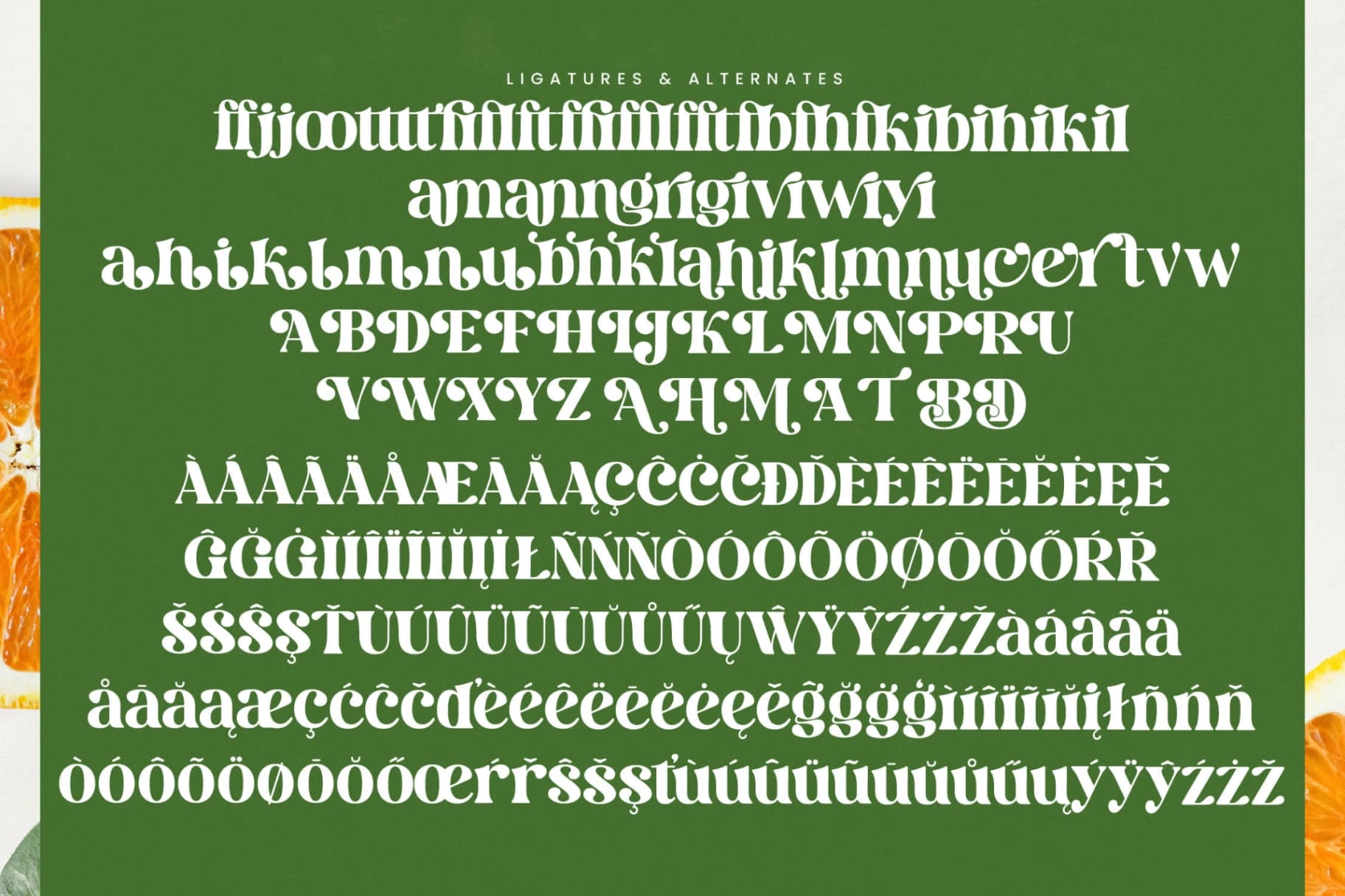 Preview 18 for Dream Silvers - Modern Alternate Serif Font