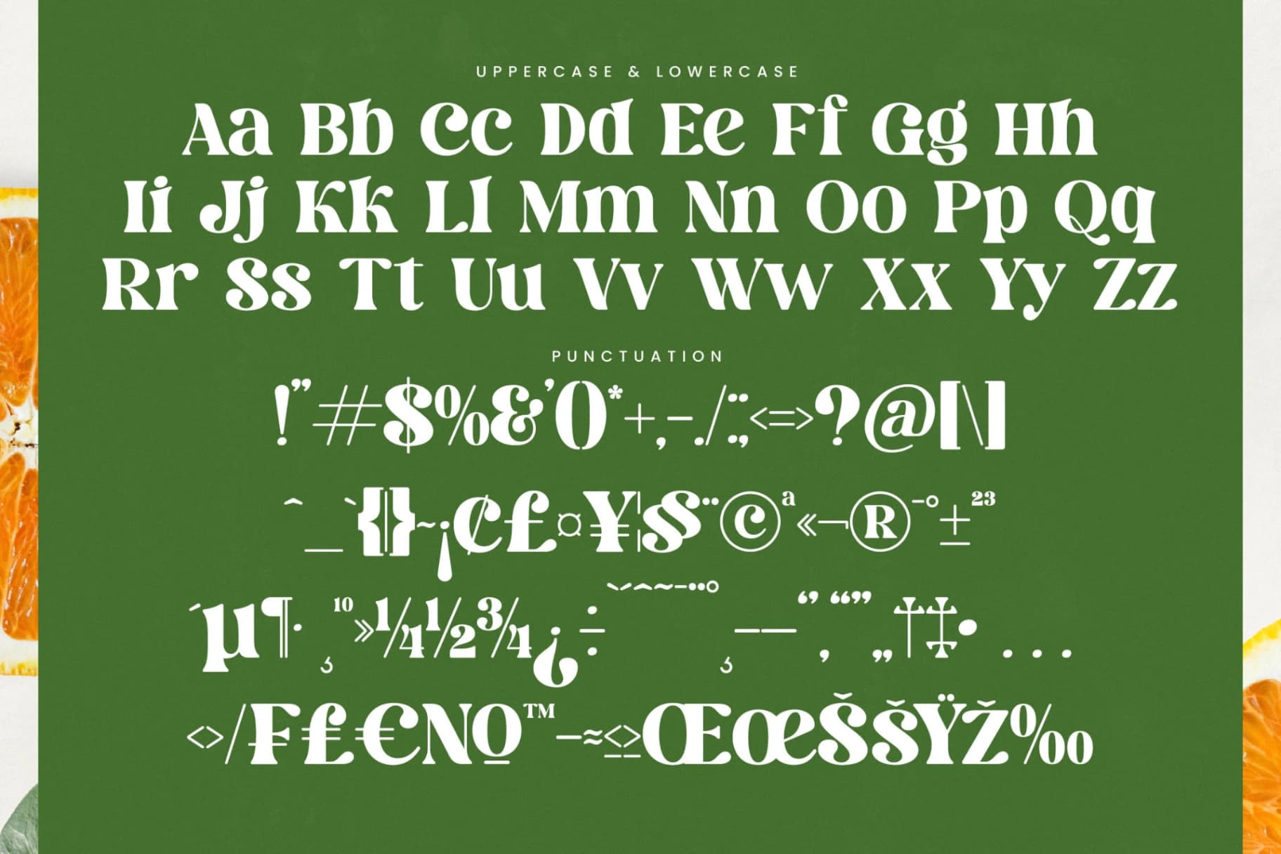 Preview 19 for Dream Silvers - Modern Alternate Serif Font