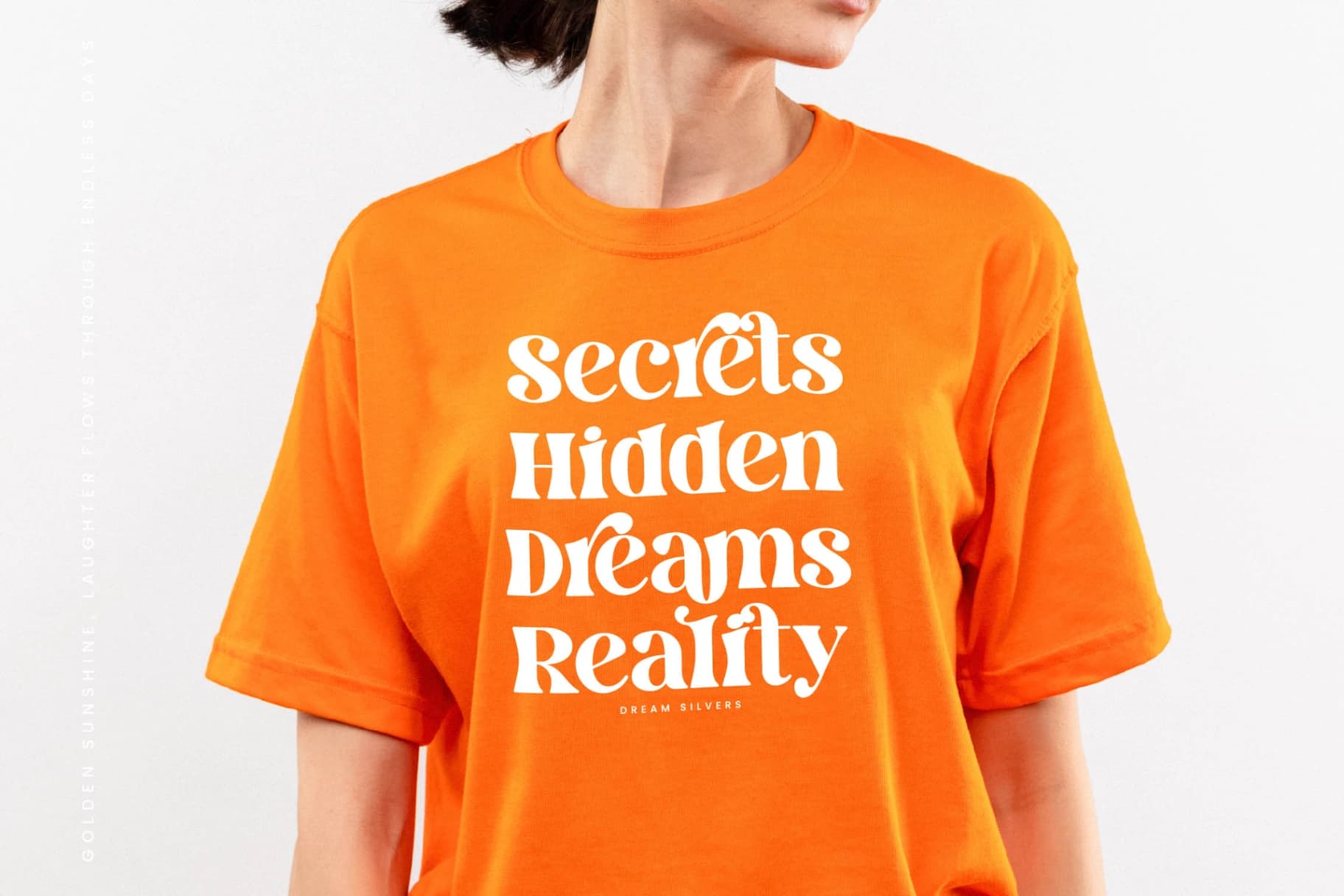 Preview 4 for Dream Silvers - Modern Alternate Serif Font